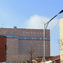 사이(42)Hotel | 서울 호캉스 추천 신라호텔 남산뷰 디럭스 트윈 1박2일 숙박후기 1편