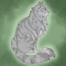 바인스타 이미지