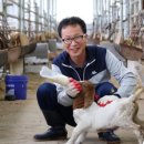 웅비농장 이미지