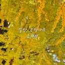 활성동 밀양시국궁장 이미지