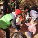 국립산림과학원 산림바이오소재연구소 네이버블로그