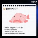 반도물산