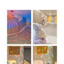 연세 키즈풀 이미지