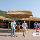 하동약초
