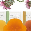 뽀송강아지 이미지