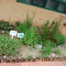 서울은빛초등학교 이미지