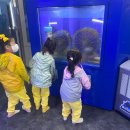 포도원어린이집 이미지