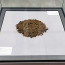 유류피해극복기념관 이미지