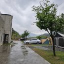 내를 건너서 숲으로 캠핑장 이미지