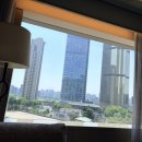 동방힐링테마파크 | 상하이 5박 6일 여행기: 푸동의 야경부터 디즈니랜드까지, 완벽했던 '갓생' 휴가