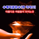 크루즈 여행 처음이세요? (3) 크루즈 여행 총비용 공개! 크루즈 여행의 단점, 신용카드 없는 사람은? 그동안 궁금했던 모든 거 답해줌 이미지