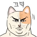 실험과학학원 이미지