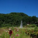 명지사 이미지