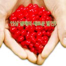 조철현마트