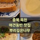 올드 트리 이미지