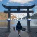 티엔티 | 대마도 1박2일 여행 티엔티부산 이용 솔직후기