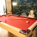 놀러와포켓볼 이미지