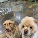 꼼스테이블 이미지