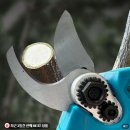 가위 - 북구 | 헤몬 전동 전지가위 후기, 25mm 가지치기 생각보다 훨씬 편했던 이유