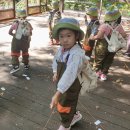 소새울어린이집 이미지