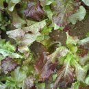 지훈농장 이미지