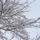 남산 산책로 이미지