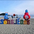 송정해수욕장 티스토리