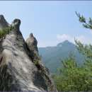 금강산 산악회 8월25일 (제 447차 )문경 대야산 (930.7m) 마감 이미지