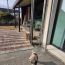 콩이네하우스 이미지