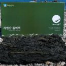 동해특산 이미지