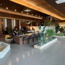 젬스톤 사하점 | [사하구 카페] 분위기 좋고, 공부하기도 좋은 ‘젬스톤 사하점’ 후기!