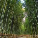 남가람 문화거리 이미지