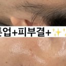 에스테틱고우다