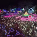 공룡게임장 | 제주도 야간 명소 아이랑 방문하기 좋은 애월 제주 불빛 정원 (+ 할인 및 무료입장 꿀팁)