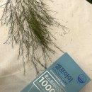 주식회사이후파마 이미지