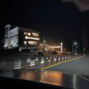 통나무집 포구가는길 | [춘천] 수많은 춘천의 닭갈비 중 선택받은 통나무집 닭갈비 내돈내산 후기