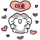 신성비디오 이미지