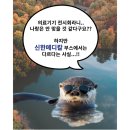 신한메디칼(주) 이미지