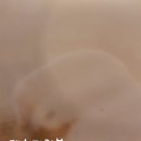 엔제리너스 대구광장점 이미지