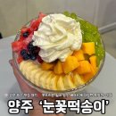 눈꽃떡송이 | 양주 빙수ㅣ광사동 빙수 맛집 눈꽃 떡송이 내돈내산 후기
