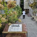 수곡로3번길(2-164) | 압구정 카멜 커피 도산 2호점 / 요즘 제일 핫한 카페 드디어 다녀왔어요!