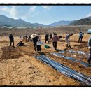 대감삼통 농촌체험마을 이미지