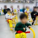 용인대 한국 체육관(태권도) 이미지