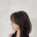 하올디자인 이미지
