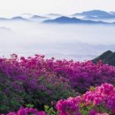 참치과기공소 이미지