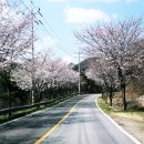 보림태권도 이미지