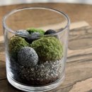 원예 테라리움 이미지