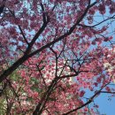 무림모터스 이미지