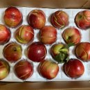 심복농장 이미지