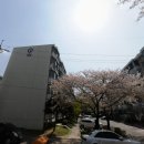 대동백화점 앞 이미지